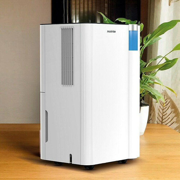 Rointe Deshumidificador DRYPURE (200 W, Potencia de deshumidificación: 12 l/día, Blanco) | BAUHAUS