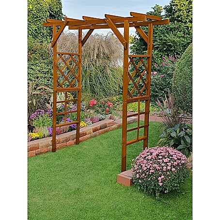 Promadino Pergola Ben (60 x 200 x 210 cm, Honigbraun, Holz)
