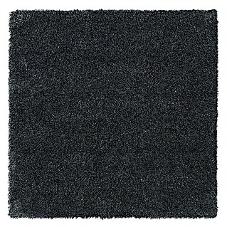 Teppichfliese Amazing (50 x 50 cm, Hochflor, 100 % Polyester, Dunkelgrau)