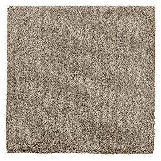 Teppichfliese Amazing (50 x 50 cm, Hochflor, 100 % Polyester, Beige)
