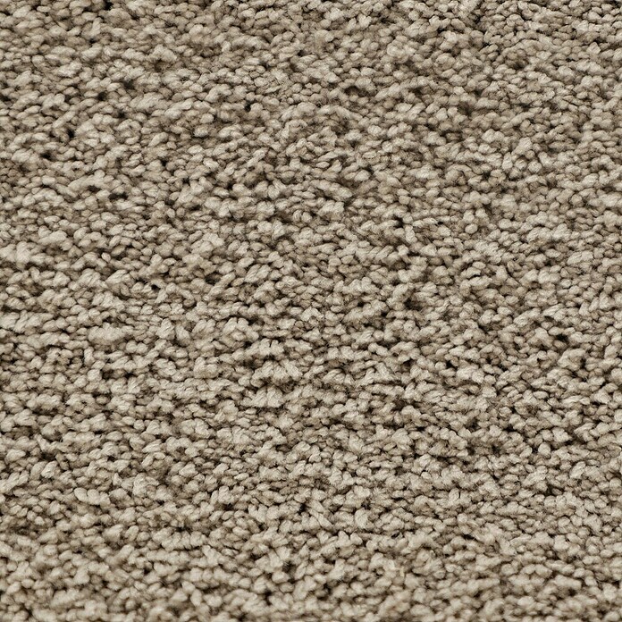 Teppichfliese Amazing (50 x 50 cm, Hochflor, 100 % Polyester, Beige) | BAUHAUS