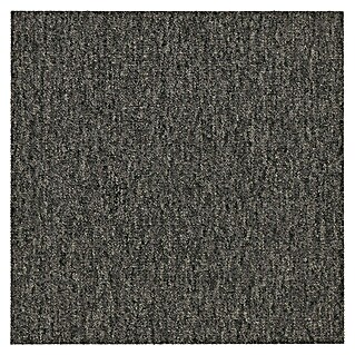 Teppichfliese Solid (50 x 50 cm, Schlinge, 100 % Polyamid SDN, Dunkelbraun)