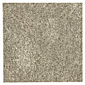 Teppichfliese Explore (50 x 50 cm, Schlinge, 100 % Polypropylen, Sand) | BAUHAUS