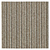Teppichfliese Vienna (50 x 50 cm, Schlinge, 100 % Polypropylen, Braun Gestreift) | BAUHAUS