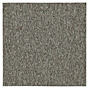 Teppichfliese Solid (50 x 50 cm, Schlinge, 100 % Polyamid SDN, Braun) | BAUHAUS