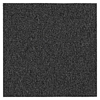Teppichfliese Vienna (50 x 50 cm, Schlinge, 100 % Polypropylen, Anthrazit)