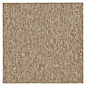 Teppichfliese Vienna (Schlinge, 100 % Polypropylen, Beige) | BAUHAUS