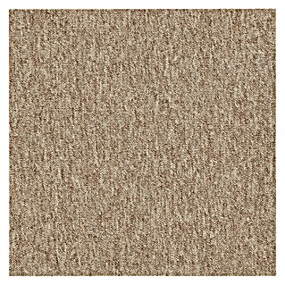 Teppichfliese Vienna (50 x 50 cm, Schlinge, 100 % Polypropylen, Beige)
