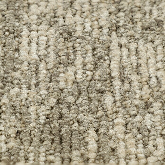 Teppichfliese Realise (50 x 50 cm, Schlinge, 100 % Polypropylen, Sand) | BAUHAUS