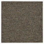 Teppichfliese Sprinter (50 x 50 cm, Nadelfilz, 80 % Polypropylen, 20 % recyceltes PET, Schokobraun) | BAUHAUS