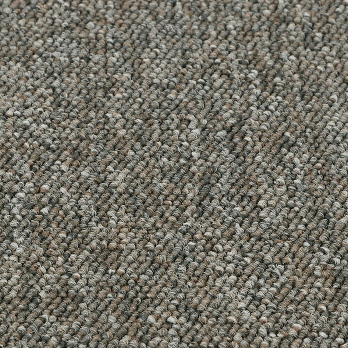 Teppichfliese Solid (50 x 50 cm, Schlinge, 100 % Polyamid SDN, Braun) | BAUHAUS