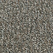 Teppichfliese Solid (50 x 50 cm, Schlinge, 100 % Polyamid SDN, Braun) | BAUHAUS