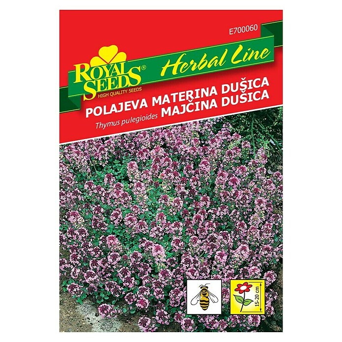 Sjeme začinskog bilja Divlji timijan  (Thymus serpyllum, Vrijeme sjetve: Ožujak, Berba: Lipanj) | BAUHAUS