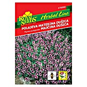 Sjeme začinskog bilja Divlji timijan  (Thymus serpyllum, Vrijeme sjetve: Ožujak, Berba: Lipanj) | BAUHAUS