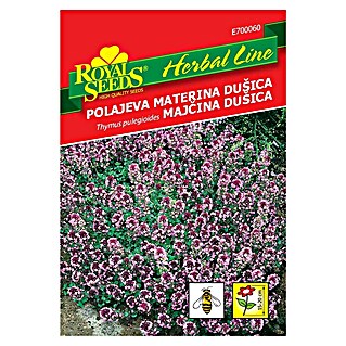 Sjeme začinskog bilja Divlji timijan (Thymus serpyllum, Vrijeme sjetve: Ožujak, Berba: Lipanj)