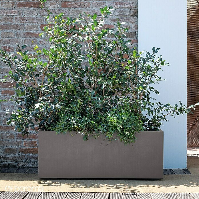 Deroma Millennium Pflanzkasten (Außenmaß (L x B x H): 99 x 37 x 39 cm, Kunststoff, Sandstone) | BAUHAUS