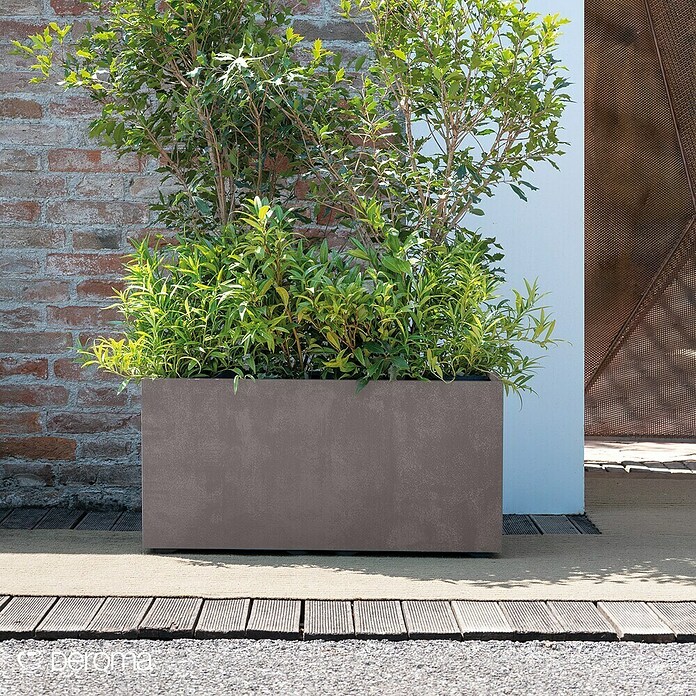Deroma Millennium Pflanzkasten (Außenmaß (L x B x H): 79 x 39 x 39 cm, Kunststoff, Sandstone) | BAUHAUS