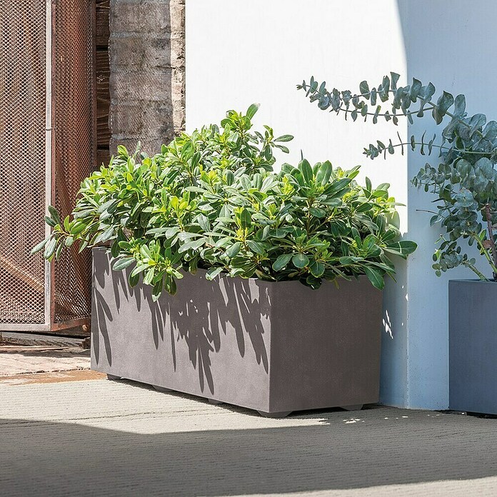 Deroma Millennium Pflanzkasten (Außenmaß (L x B x H): 59 x 25 x 25 cm, Kunststoff, Sandstone) | BAUHAUS