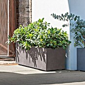 Deroma Millennium Pflanzkasten (Außenmaß (L x B x H): 59 x 25 x 25 cm, Kunststoff, Sandstone) | BAUHAUS