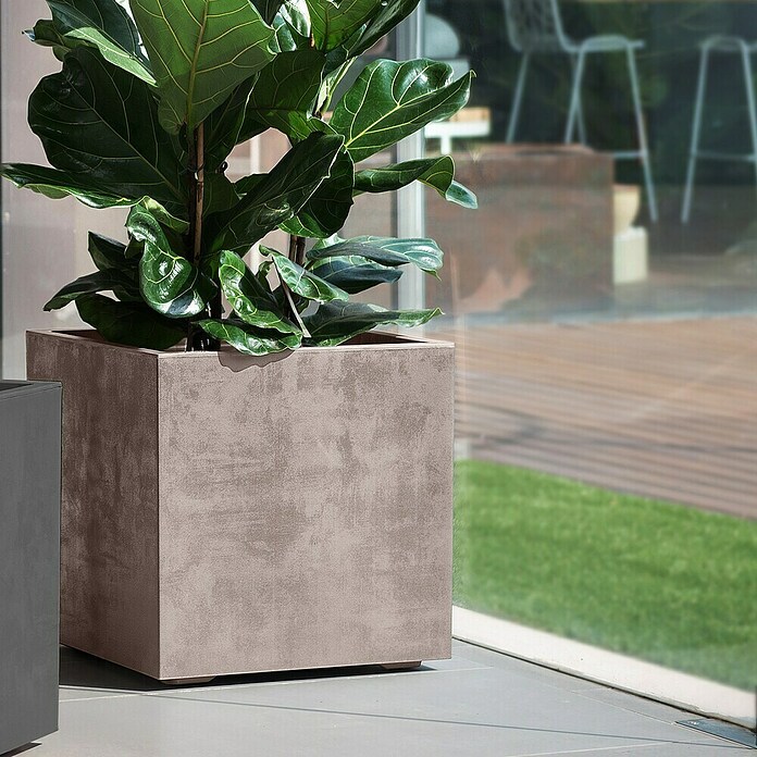 Deroma Millennium Pflanzkasten (Auenma (L x B x H): 49 x 49 x 49 cm,
