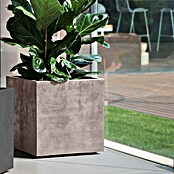 Deroma Millennium Pflanzkasten (Außenmaß (L x B x H): 49 x 49 x 49 cm, Kunststoff, Sandstone) | BAUHAUS
