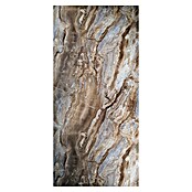 Panel obloga Arebescato Brown  (D x V: 122 x 260 cm, PVC) | BAUHAUS