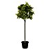 Planta artificial Laurel 