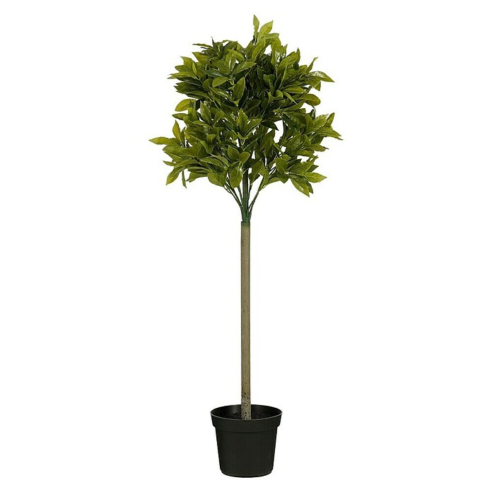 Planta artificial Laurel (Altura: 120 cm, Color de flor: Verde, Plástico) | BAUHAUS
