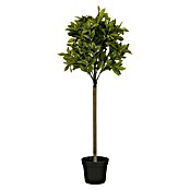 Planta artificial Laurel (Altura: 120 cm, Color de flor: Verde, Plástico) | BAUHAUS