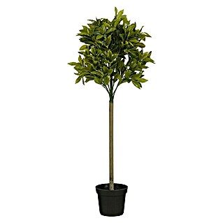 Planta artificial Laurel (Altura: 120 cm, Color de flor: Verde, Plástico)