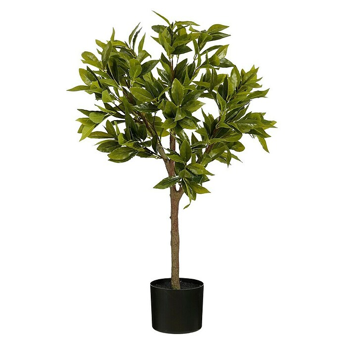 Planta artificial Laurel (Altura: 90 cm, Color de flor: Verde, Plástico) | BAUHAUS