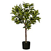 Planta artificial Laurel (Altura: 90 cm, Color de flor: Verde, Plástico) | BAUHAUS