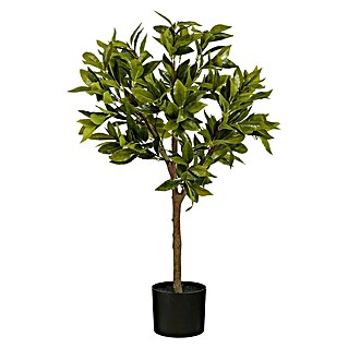 Planta artificial Laurel (Altura: 90 cm, Color de flor: Verde, Plástico)