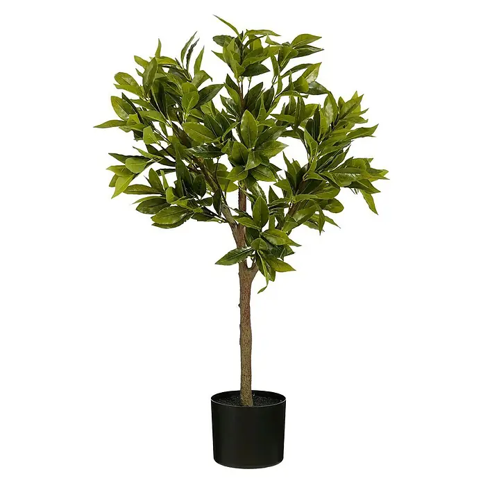 Planta artificial Laurel - Altura: 90 cm, Color de flor: Verde, Plástico - Planta artificial en maceta con hojas verdes y un tronco marrón en una maceta negra.