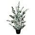 Planta artificial Eucalipto 