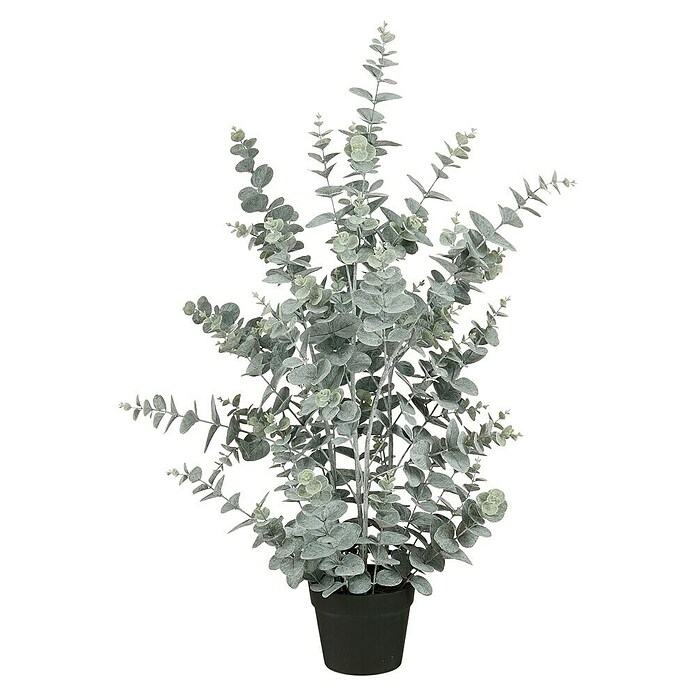 Planta artificial Eucalipto (Altura: 97 cm, Verde, Plástico) | BAUHAUS