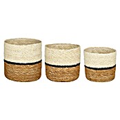 Maceta con interior de plástico Damian (Dimensiones externas (Ø x Al): 12 x 12 cm, Materiales naturales, Blanco) | BAUHAUS