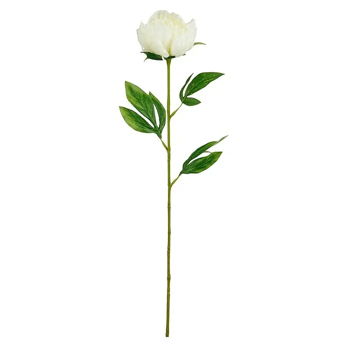 Planta artificial Peonia - Altura: 60 cm, Color de flor: Blanco, Plástico - Flor de peonía blanca artificial individual con tallo verde y hojas.
