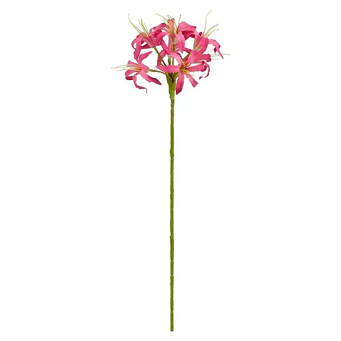 Planta artificial Nerina - Altura: 59 cm, Color de flor: Rosado oscuro, Plástico - Flor artificial rosa vibrante con múltiples pétalos y estambres amarillos en un tallo verde largo.
