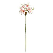 Planta artificial Nerina (Altura: 59 cm, Color de flor: Rosado, Plástico) | BAUHAUS
