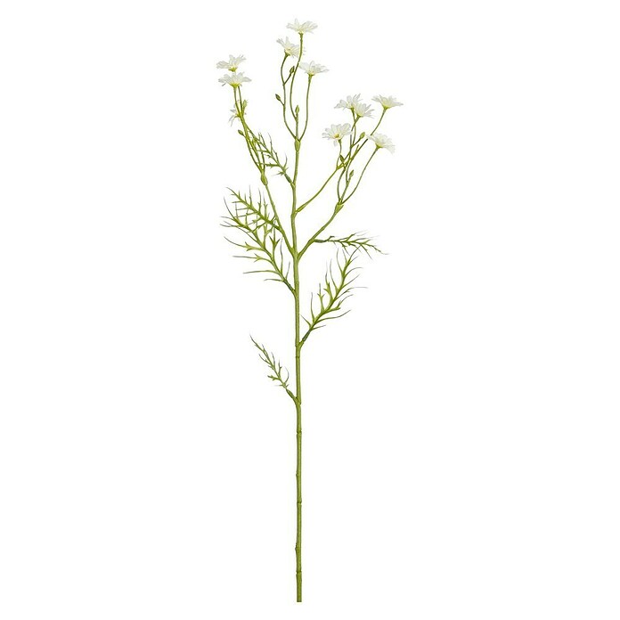 Planta artificial Margarita (Altura: 71 cm, Color de flor: Crema, Plástico) | BAUHAUS