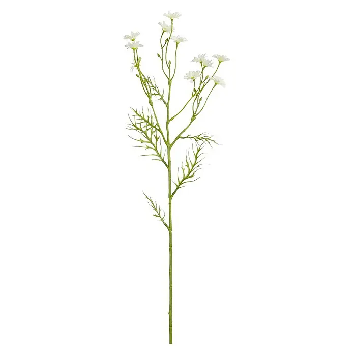 Planta artificial Margarita - Altura: 71 cm, Color de flor: Crema, Plástico - Tallo de planta verde artificial con delicadas flores blancas y follaje verde.