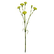 Planta artificial Clavel (Altura: 66 cm, Color de flor: Verde, Plástico) | BAUHAUS