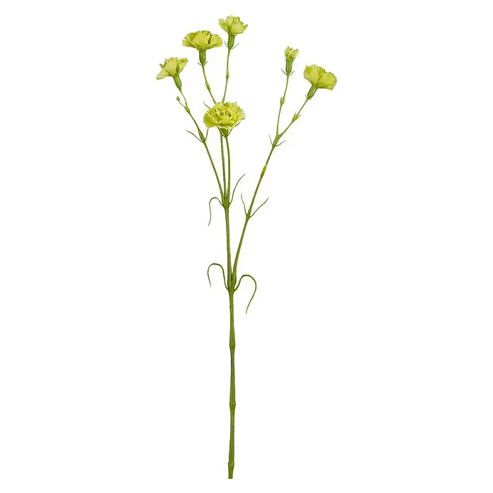 Planta artificial Clavel - Altura: 66 cm, Color de flor: Verde, Plástico - Flores de clavel verdes en un tallo con múltiples flores y capullos.