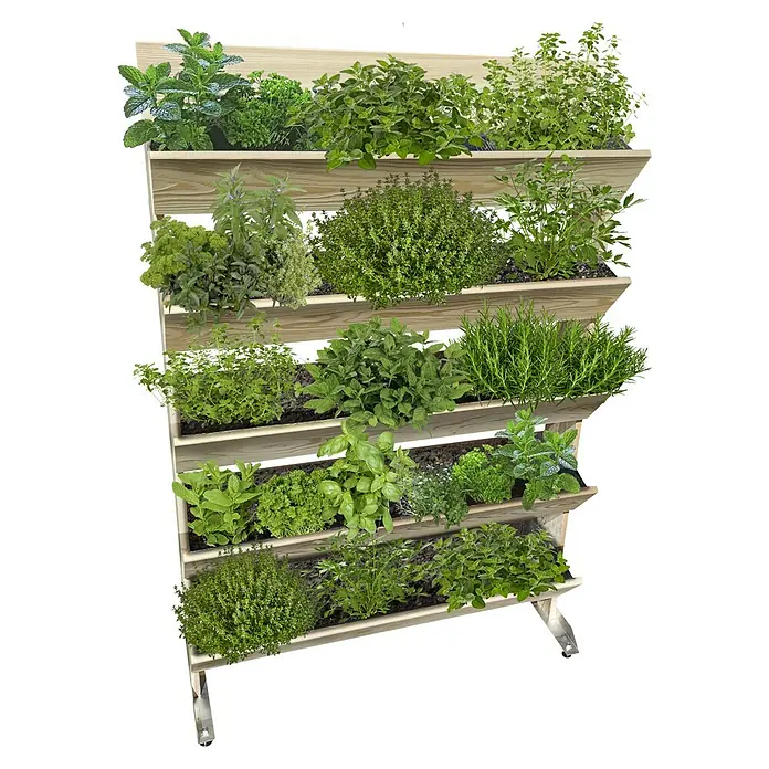 Piardino Lebensbaum Smaragd (150 cm - 175 cm, Thuja occidentalis 'Smaragd')  | BAUHAUS