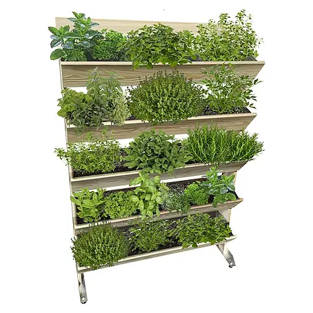 Hochbeet