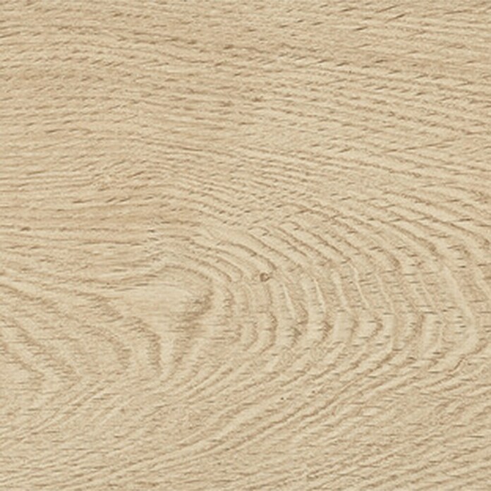 Harmonie by Palazzo Feinsteinzeugfliese (20 x 120 cm, Creme, Glasiert)
