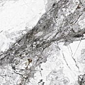 Feinsteinzeugfliese Marble Visage (60 x 120 cm, Dunkelgrau, Glänzend) | BAUHAUS