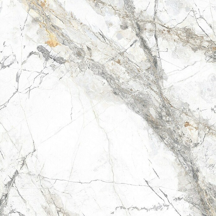 Porculanska pločica Marble Visage White  (60 x 60 cm, Sjaj) | BAUHAUS