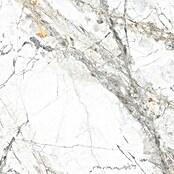 Porculanska pločica Marble Visage White  (60 x 60 cm, Sjaj) | BAUHAUS